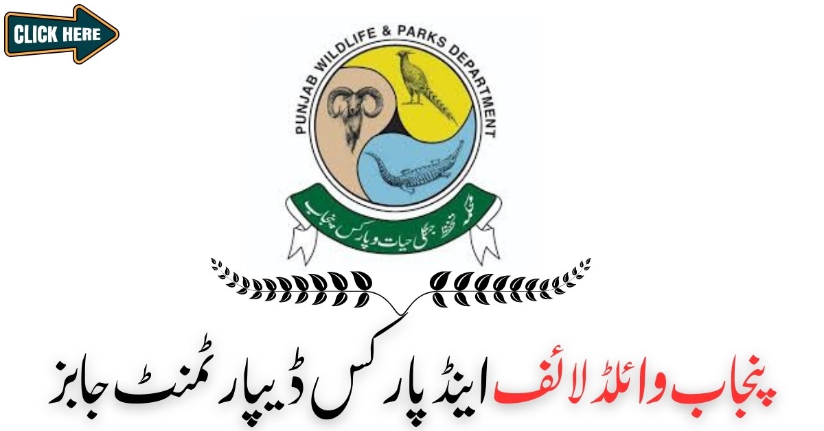Punjab Wildlife & Parks Department Jobs
