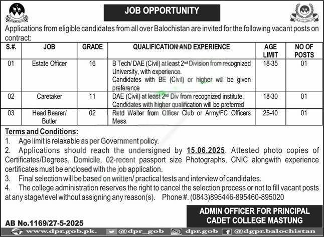 Election Commission Punjab Jobs