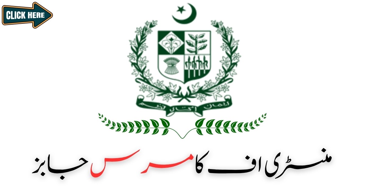 Ministry of Commerce Jobs