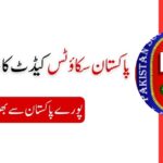 Pakistan Scouts Cadet College Batrasi Jobs