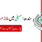 Provincial Assembly Sindh Jobs