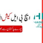 HBL Cash Officer Jobs