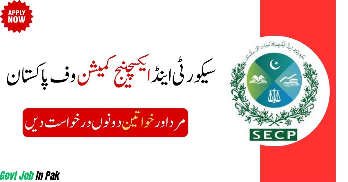 SECP Jobs